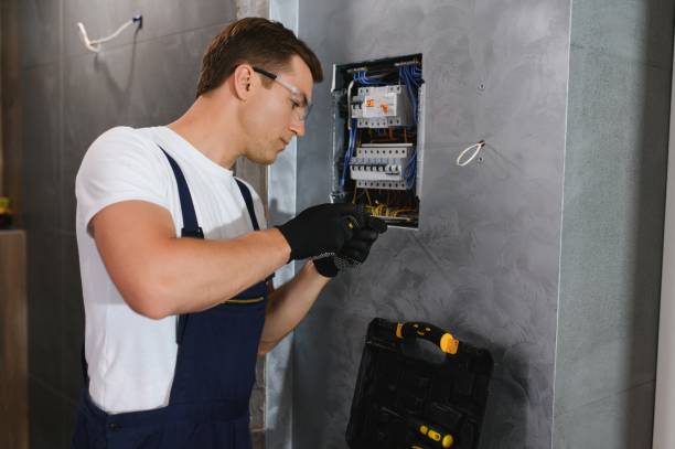 Best Electrical Upgrades for Homes  in Pine Island, MN