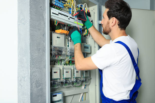 Best Affordable Emergency Electrician  in Pine Island, MN