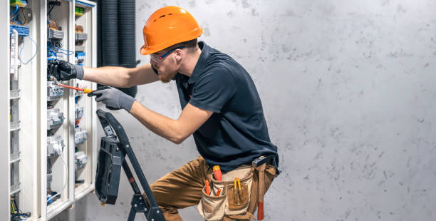 Best 24-Hour Electrician  in Pine Island, MN